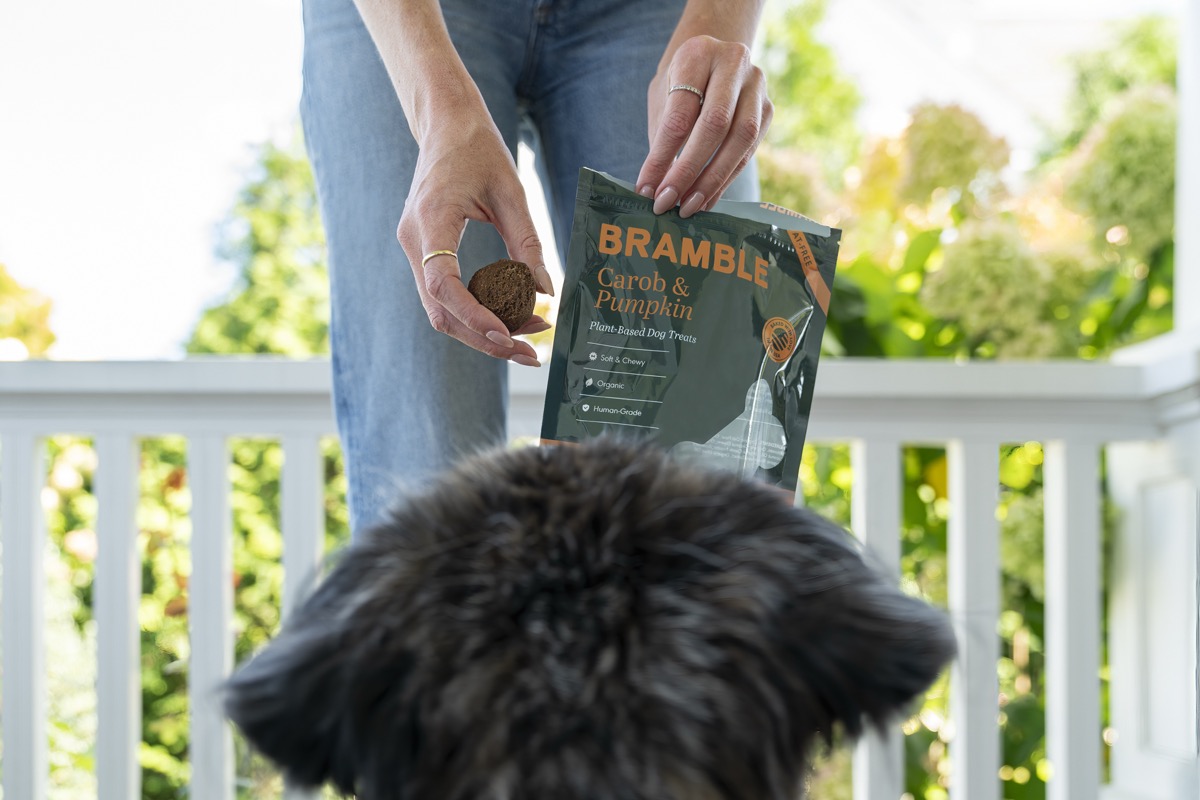 Bramble soft and chewy dog treats