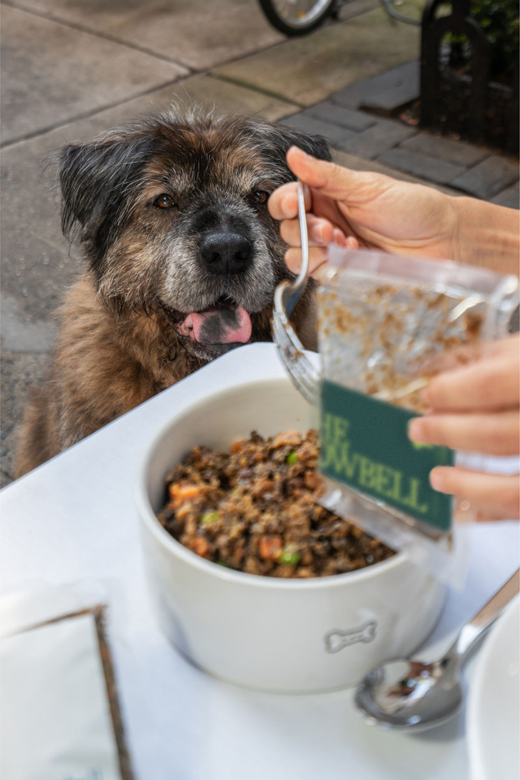 Dog enjoying delivery