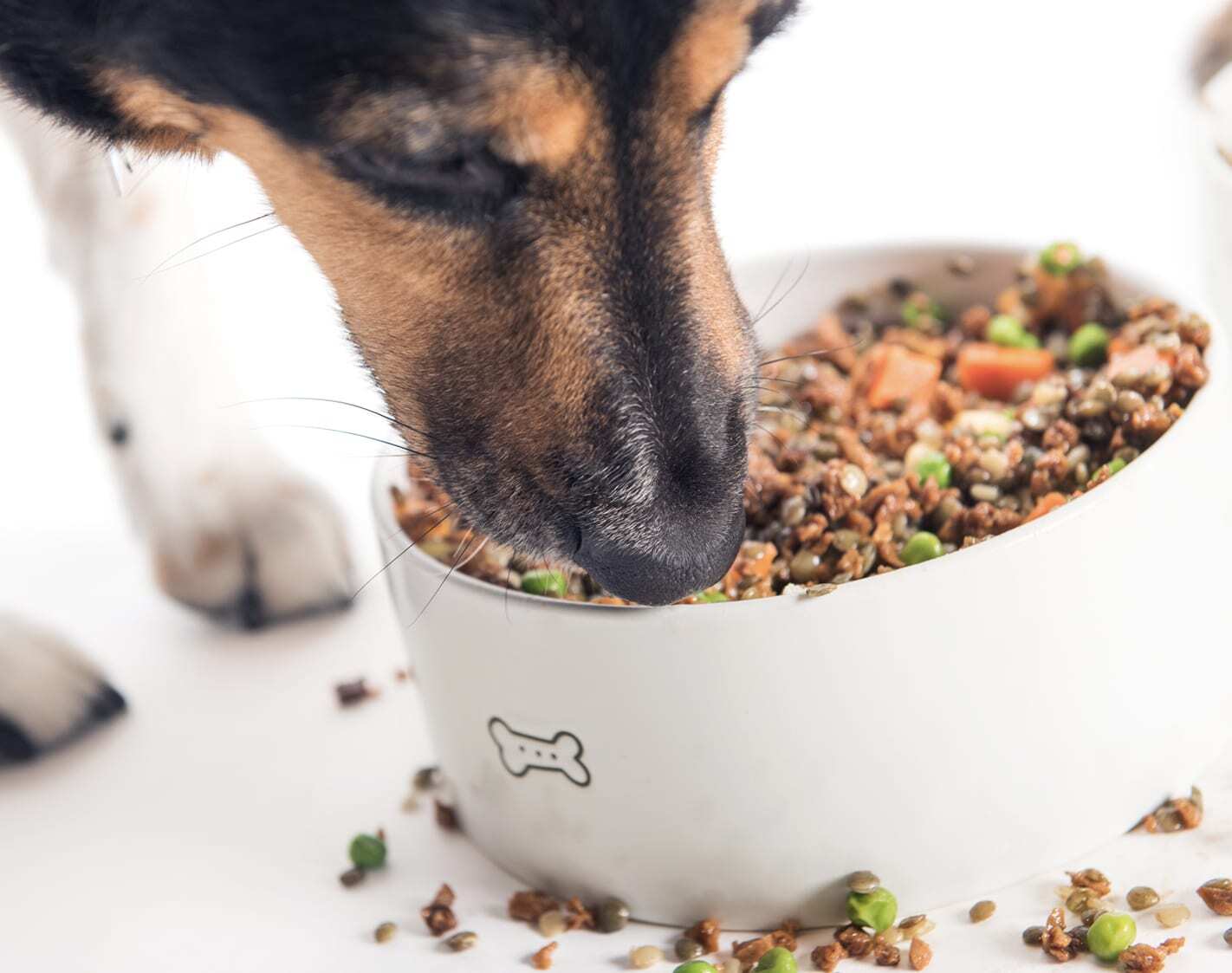 What Is Hypoallergenic