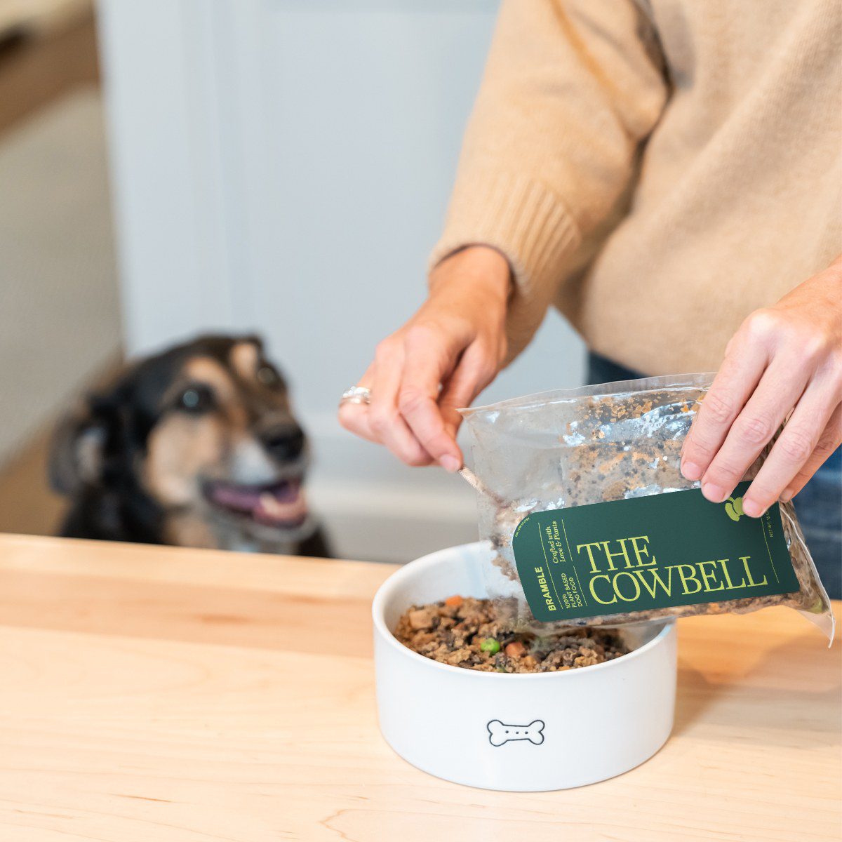 The Cowbell Low Protein being poured into a bowl while a dog watches