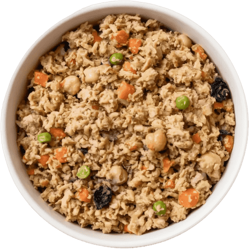 A bowl of The Roost fresh dog food